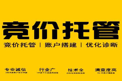 SEM竞价实战技巧，案例讲解与应用
